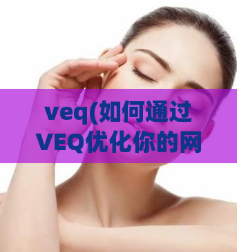 veq(如何通过VEQ优化你的网站)