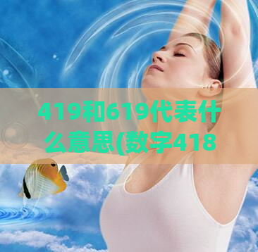 419和619代表什么意思(数字418和619的含义，揭秘SEO中的数字密码)