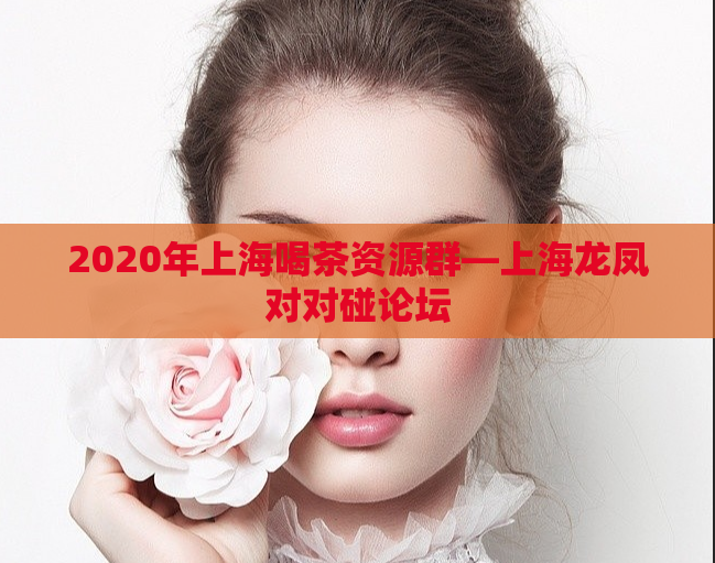 2020年上海喝茶资源群—上海龙凤对对碰论坛