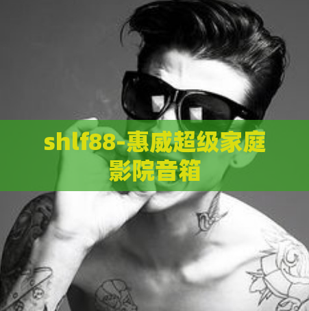 shlf88-惠威超级家庭影院音箱