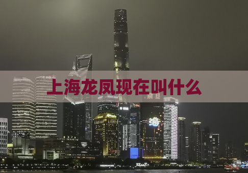 上海龙凤现在叫什么