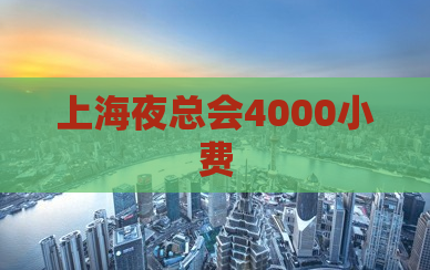 上海夜总会4000小费