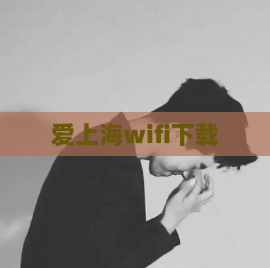 爱上海wifi下载