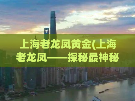 上海老龙凤黄金(上海老龙凤——探秘最神秘的黄金世界)