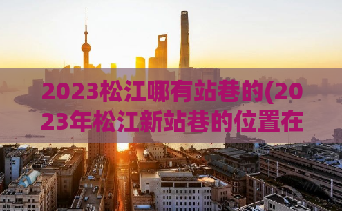 2023松江哪有站巷的(2023年松江新站巷的位置在哪里？)