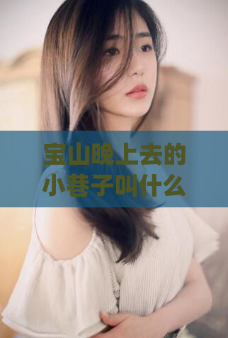 宝山晚上去的小巷子叫什么(晚上去的宝山小巷子取名是什么？)