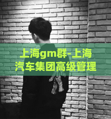 上海gm群-上海汽车集团高级管理人员群